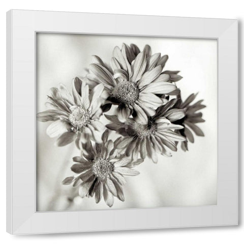 Florison - 40 White Modern Wood Framed Art Print by Blaustein, Alan
