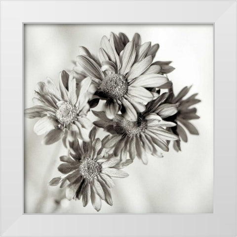 Florison - 40 White Modern Wood Framed Art Print by Blaustein, Alan