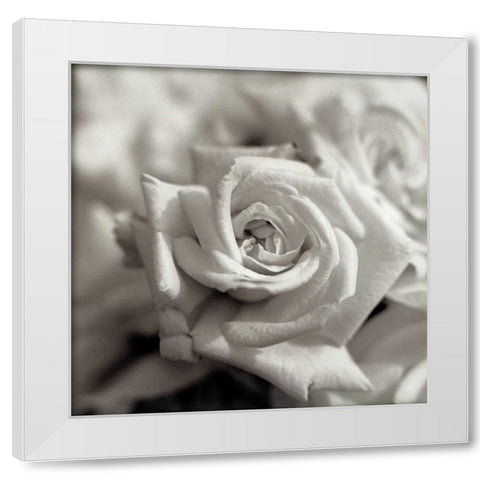 Florison - 30 White Modern Wood Framed Art Print by Blaustein, Alan