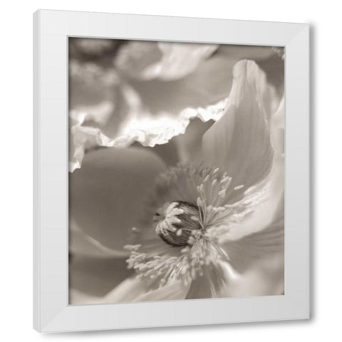 Florison - 7 White Modern Wood Framed Art Print by Blaustein, Alan