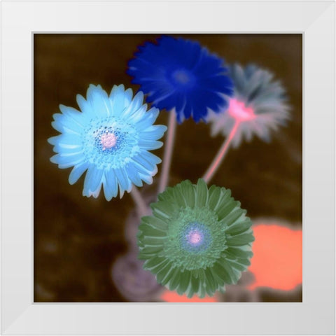 Floral Color - 4 White Modern Wood Framed Art Print by Blaustein, Alan