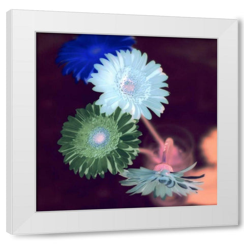 Floral Color - 5 White Modern Wood Framed Art Print by Blaustein, Alan