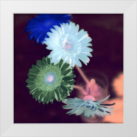 Floral Color - 5 White Modern Wood Framed Art Print by Blaustein, Alan
