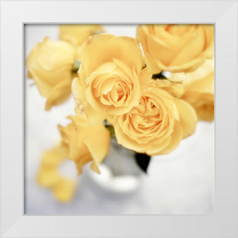 Floral Color - 21 White Modern Wood Framed Art Print by Blaustein, Alan