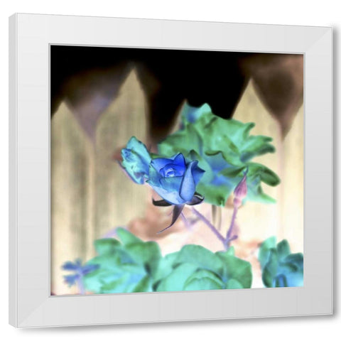 Floral Color - 7 White Modern Wood Framed Art Print by Blaustein, Alan