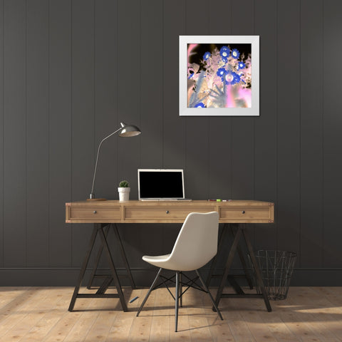 Floral Color - 8 White Modern Wood Framed Art Print by Blaustein, Alan