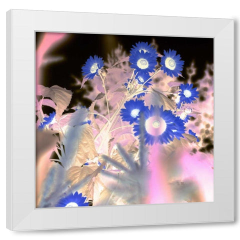 Floral Color - 8 White Modern Wood Framed Art Print by Blaustein, Alan