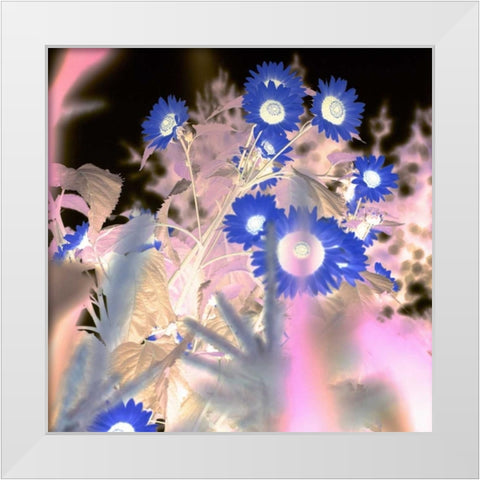 Floral Color - 8 White Modern Wood Framed Art Print by Blaustein, Alan