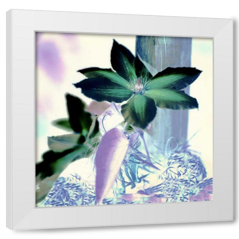 Floral Color - 10 White Modern Wood Framed Art Print by Blaustein, Alan
