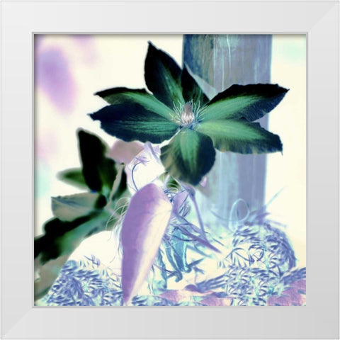 Floral Color - 10 White Modern Wood Framed Art Print by Blaustein, Alan