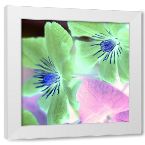 Floral Color - 13 White Modern Wood Framed Art Print by Blaustein, Alan