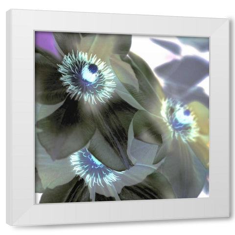 Floral Color - 14 White Modern Wood Framed Art Print by Blaustein, Alan