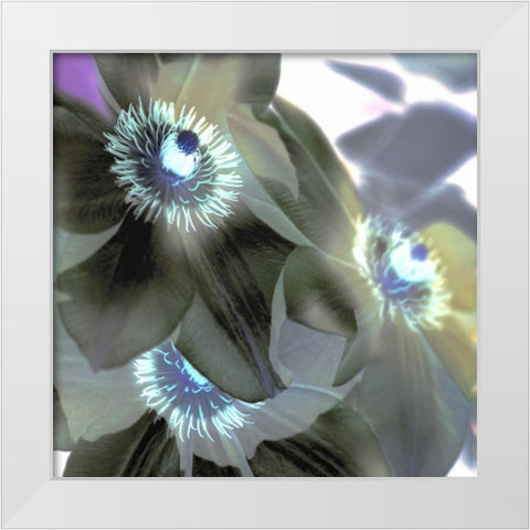 Floral Color - 14 White Modern Wood Framed Art Print by Blaustein, Alan