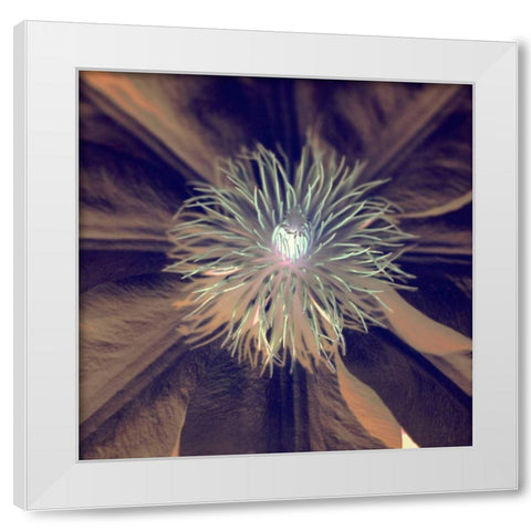 Floral Color - 15 White Modern Wood Framed Art Print by Blaustein, Alan