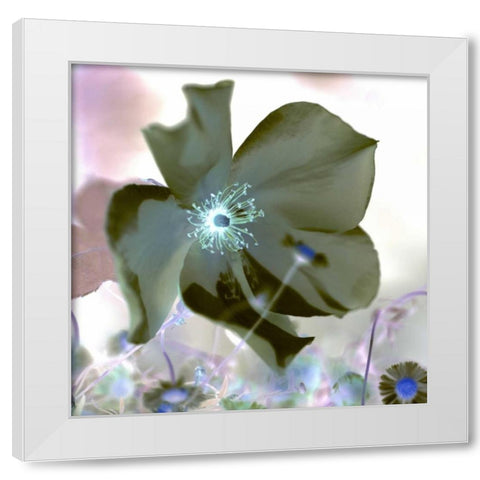Floral Color - 16 White Modern Wood Framed Art Print by Blaustein, Alan