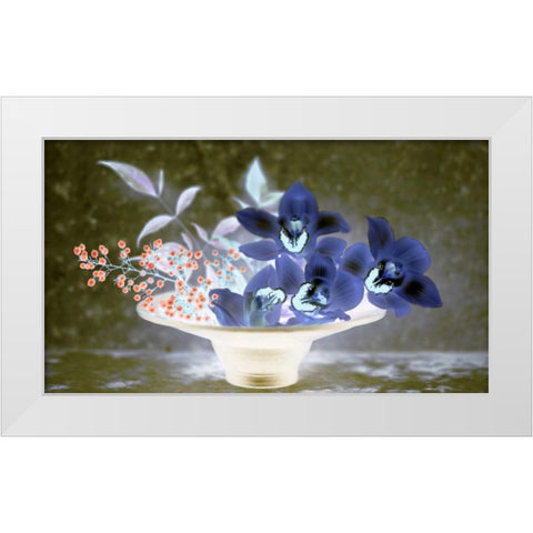 Floral Color - 18 White Modern Wood Framed Art Print by Blaustein, Alan