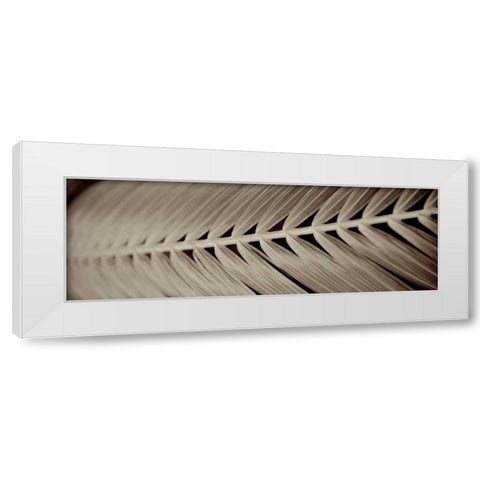 Florison - 99 White Modern Wood Framed Art Print by Blaustein, Alan