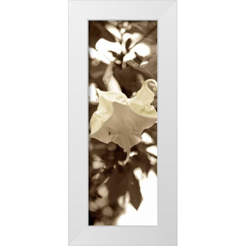 Florison - 78 White Modern Wood Framed Art Print by Blaustein, Alan