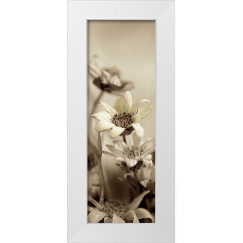 Florison - 79 White Modern Wood Framed Art Print by Blaustein, Alan