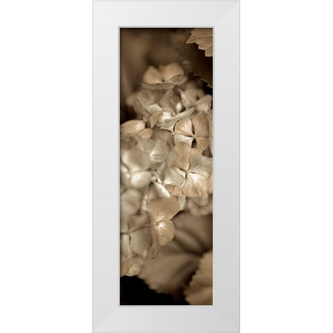 Florison - 90 White Modern Wood Framed Art Print by Blaustein, Alan