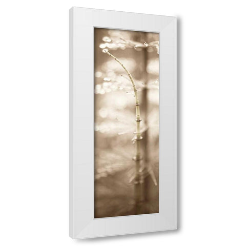 Florison - 94 White Modern Wood Framed Art Print by Blaustein, Alan