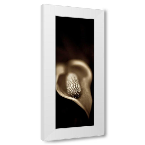 Florison - 96 White Modern Wood Framed Art Print by Blaustein, Alan