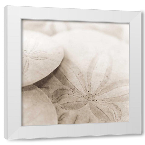 Atlantis 2 White Modern Wood Framed Art Print by Blaustein, Alan