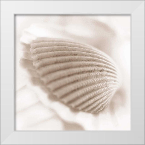 Atlantis 3 White Modern Wood Framed Art Print by Blaustein, Alan