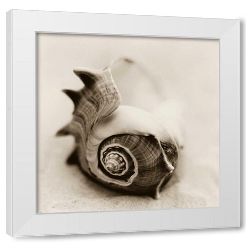 La Playa No2 White Modern Wood Framed Art Print by Blaustein, Alan