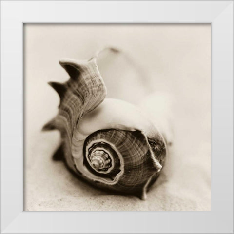 La Playa No2 White Modern Wood Framed Art Print by Blaustein, Alan