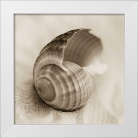 La Playa No3 White Modern Wood Framed Art Print by Blaustein, Alan