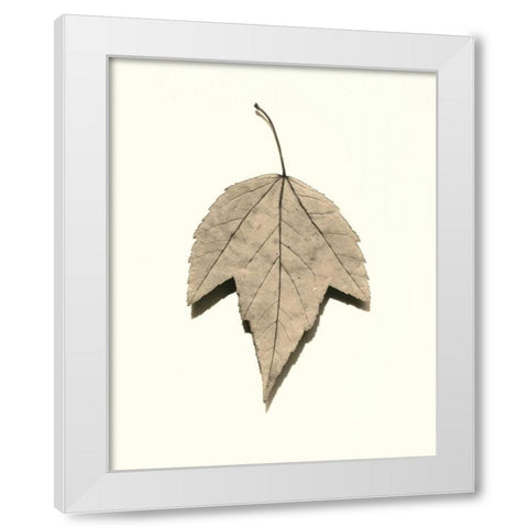 Red Maple White Modern Wood Framed Art Print by Blaustein, Alan