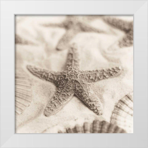 La Mer 2 White Modern Wood Framed Art Print by Blaustein, Alan