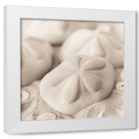 La Mer 4 White Modern Wood Framed Art Print by Blaustein, Alan