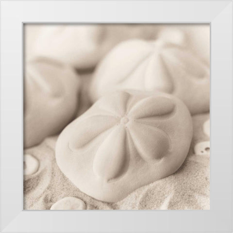 La Mer 4 White Modern Wood Framed Art Print by Blaustein, Alan