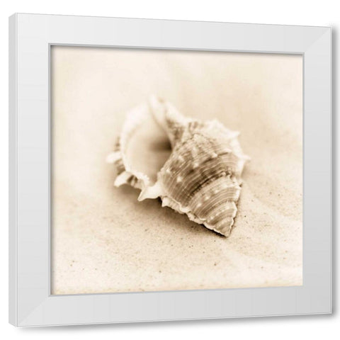 Il Oceano No. 3 White Modern Wood Framed Art Print by Blaustein, Alan