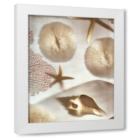 Nautical Illuminations No.1 White Modern Wood Framed Art Print by Blaustein, Alan