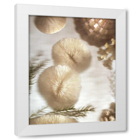 Nautical Illuminations No.2 White Modern Wood Framed Art Print by Blaustein, Alan