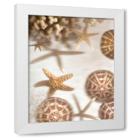 Nautical Illuminations No.3 White Modern Wood Framed Art Print by Blaustein, Alan