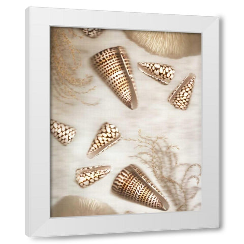 Nautical Illuminations No.4 White Modern Wood Framed Art Print by Blaustein, Alan