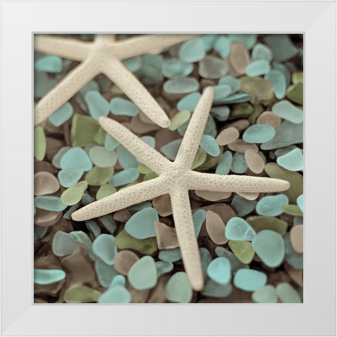 Aquatic 1 White Modern Wood Framed Art Print by Blaustein, Alan