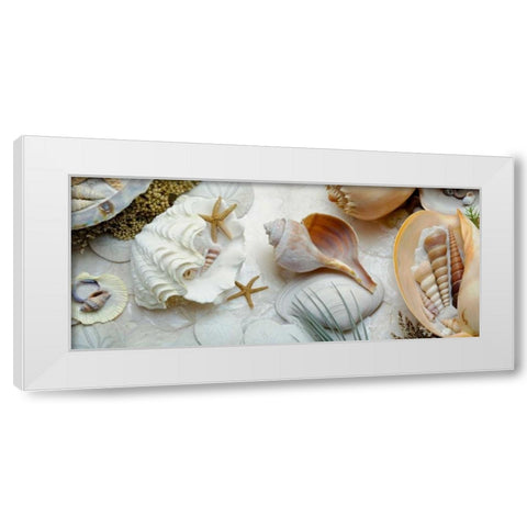 Island Tide Pool No. 3 White Modern Wood Framed Art Print by Blaustein, Alan