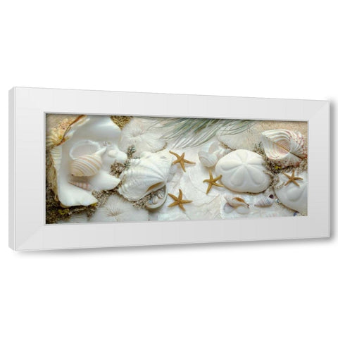 Island Tide Pool No. 5 White Modern Wood Framed Art Print by Blaustein, Alan