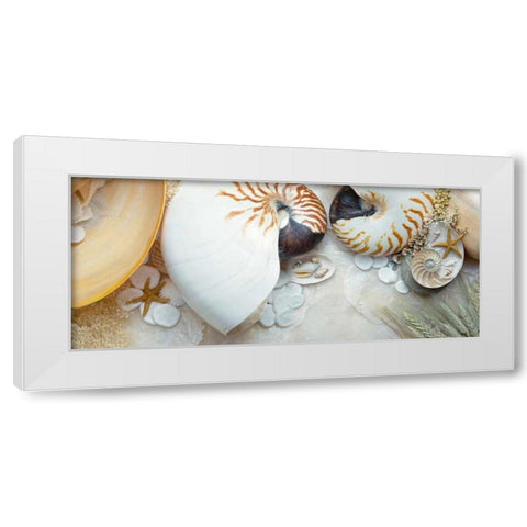 Island Tide Pool No. 8 White Modern Wood Framed Art Print by Blaustein, Alan