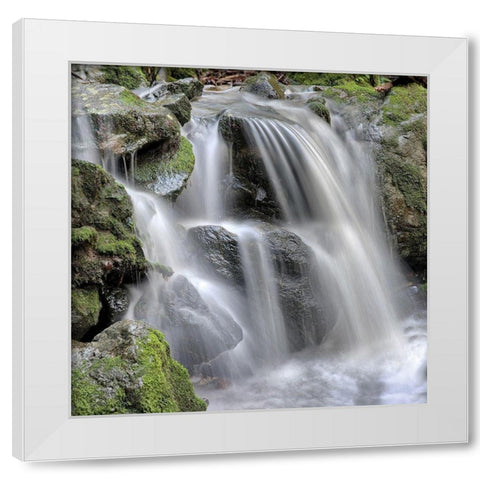 Canyon Fallls No. 5 White Modern Wood Framed Art Print by Blaustein, Alan