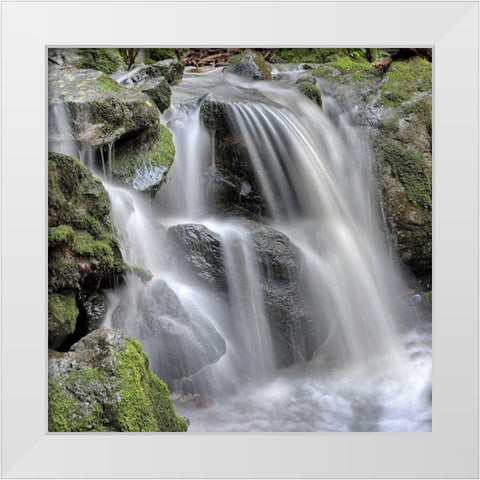 Canyon Fallls No. 5 White Modern Wood Framed Art Print by Blaustein, Alan