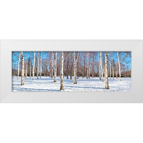 Hokkaido 1 White Modern Wood Framed Art Print by Blaustein, Alan