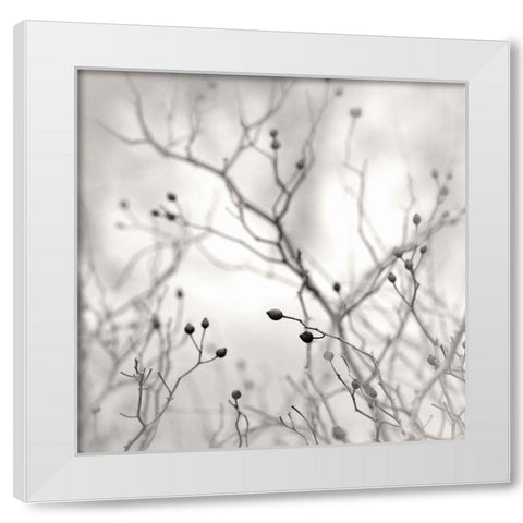 Winter Berries White Modern Wood Framed Art Print by Bell, Nicholas