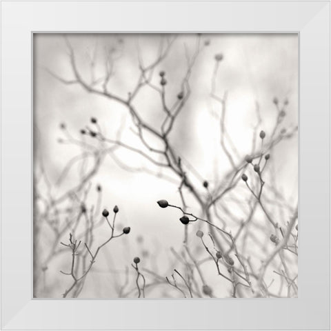 Winter Berries White Modern Wood Framed Art Print by Bell, Nicholas