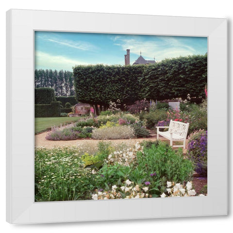 French Jardin No. 27 White Modern Wood Framed Art Print by Blaustein, Alan